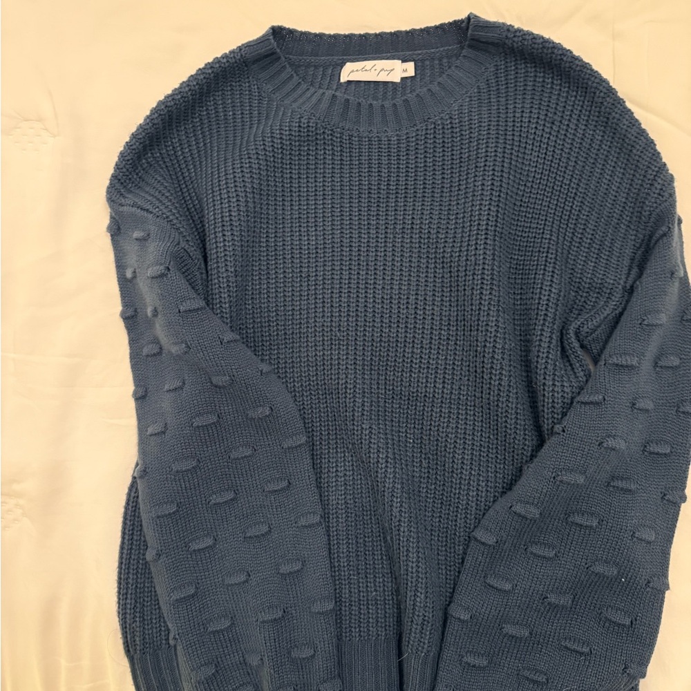 Petal & Pup Textured Blue Crewneck Sweater